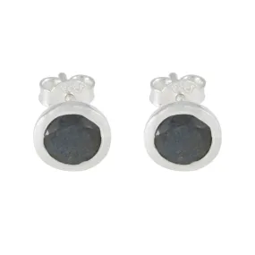 Riyo Delightful 925 Sterling Silver Earring For Sister Labradorite Earring Bezel Setting Multi Earring Stud Earring